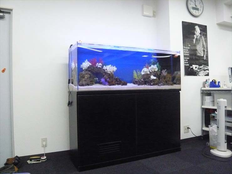 黒い水槽台に設置された大型の海水魚水槽と白い壁面