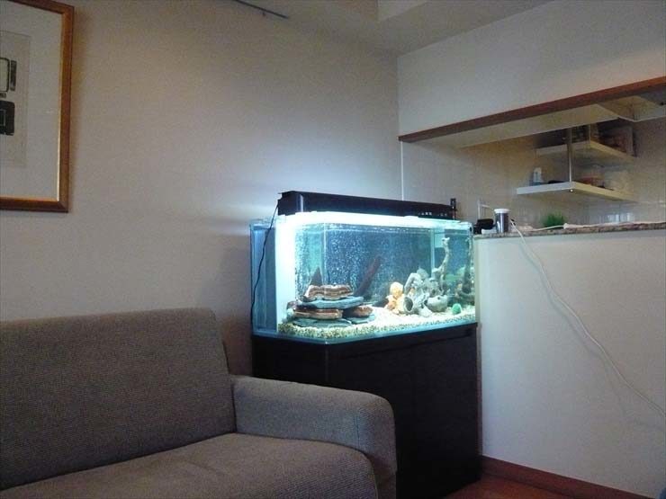 リビングのソファ横に設置された熱帯魚水槽と水槽台