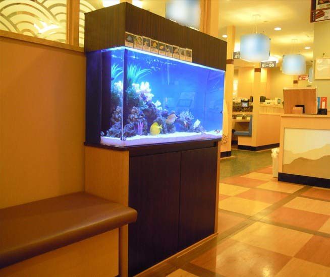 飲食店内に設置された海水魚水槽と木目調の水槽台