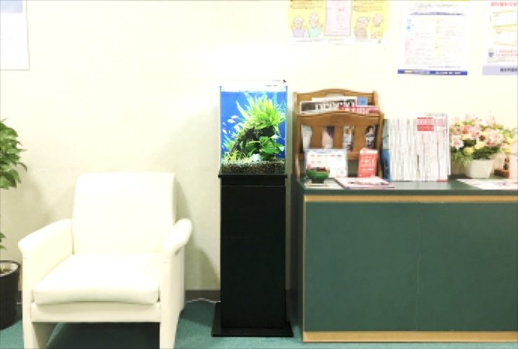 待合室の椅子と棚の間に設置された小型水草水槽
