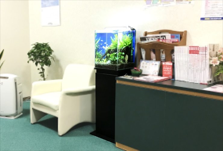 待合室の椅子横に設置された小型水草水槽と黒い水槽台