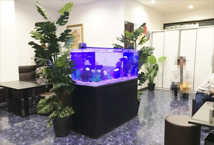青い照明が灯る大型水槽と観葉植物のある室内風景