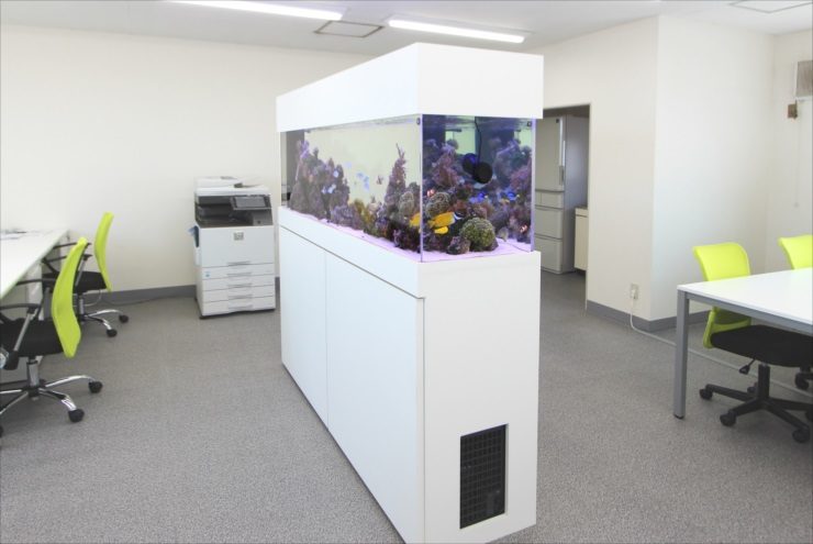 オフィスに設置された白い大型海水魚水槽のパーテーション