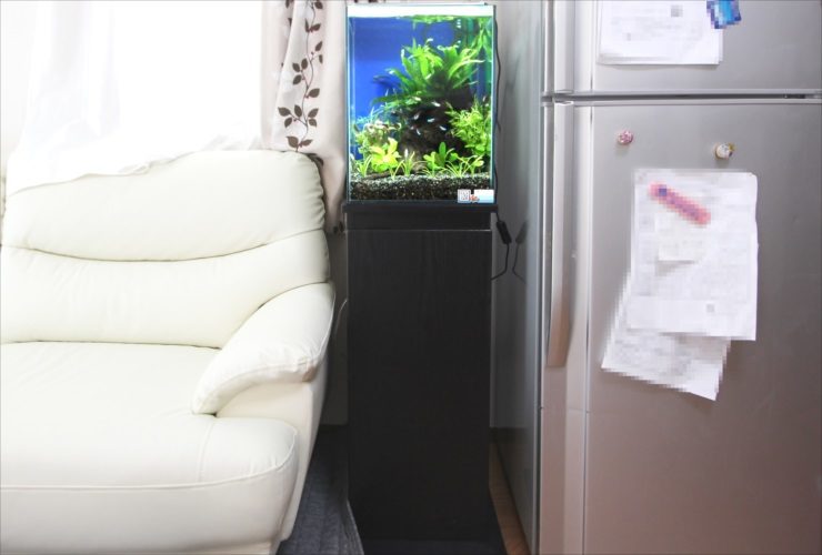 ソファと冷蔵庫の間に設置された水草水槽と黒い水槽台