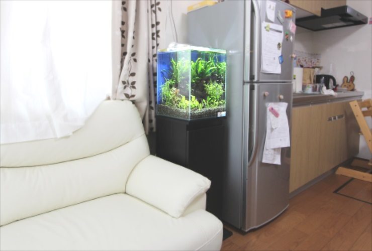 リビングのソファと冷蔵庫の間に置かれた水草水槽