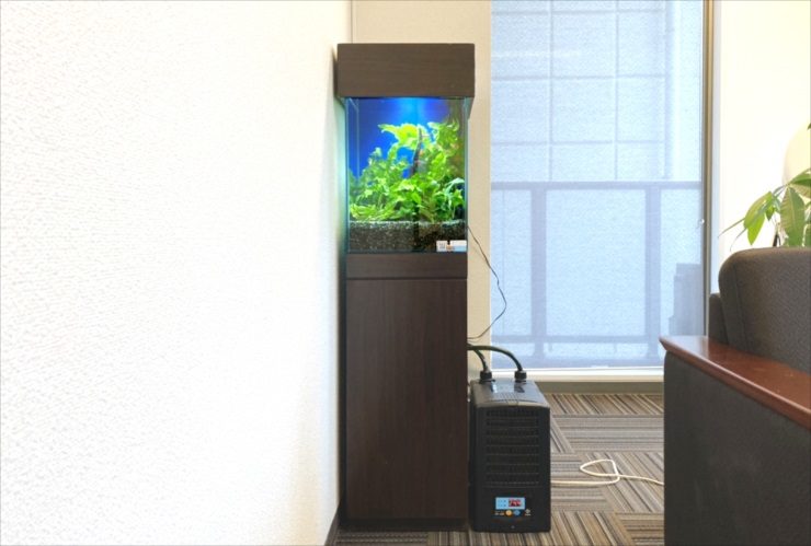 オフィスに設置された水草水槽と水槽用クーラーの設置例