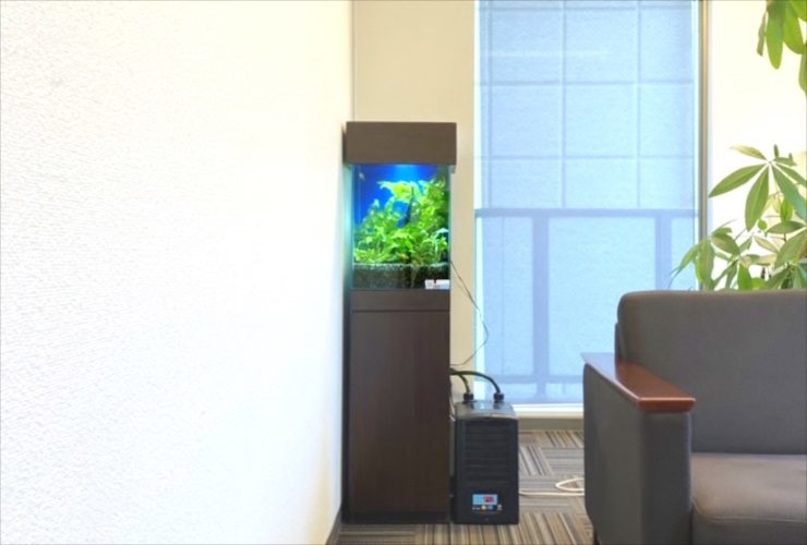 オフィスに設置された水草水槽と水槽用クーラーの設置風景