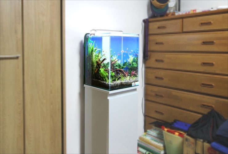 白い水槽台に設置された水草と流木のある小型水槽