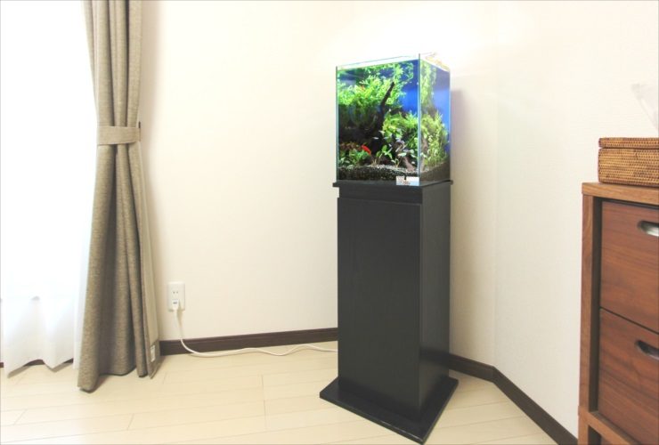 部屋の隅に設置された黒い水槽台と小型水草水槽