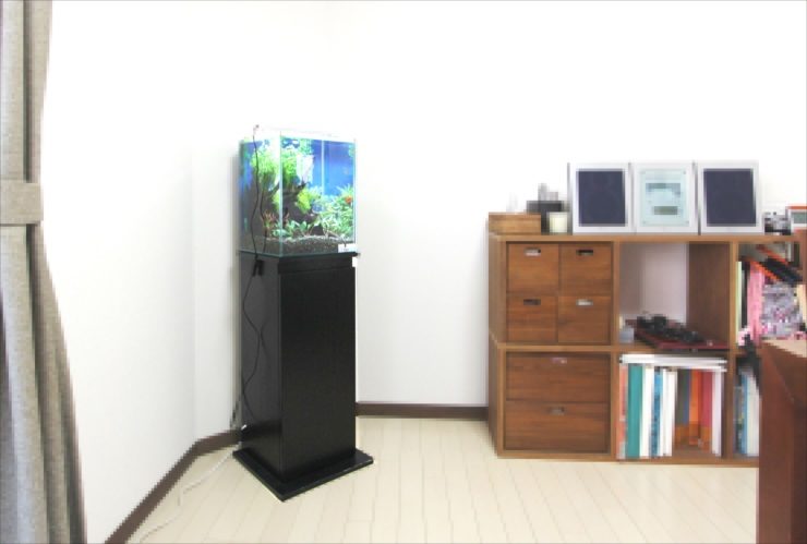 部屋の隅に設置された黒い水槽台と小型水草水槽
