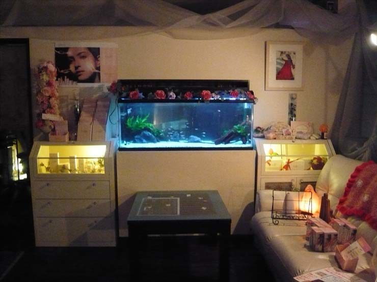 花飾りのある大型水槽と白い棚が並ぶ室内のインテリア