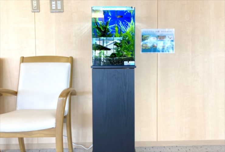 待合室の椅子横に設置された小型水草水槽と黒い水槽台