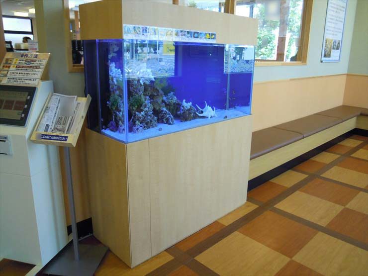 待合室に設置された木目調台の海水魚水槽