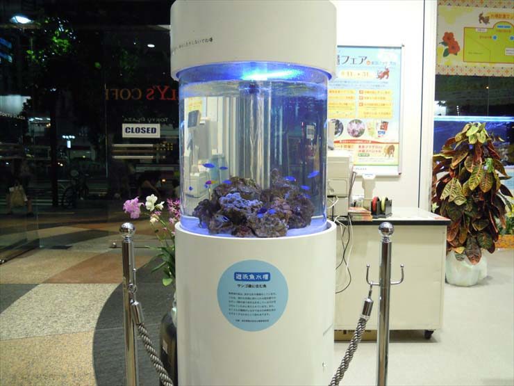 青い照明が灯る円柱型の海水魚水槽と店内の風景