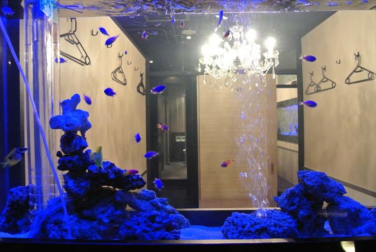 青い照明の海水魚水槽とシャンデリアのある室内