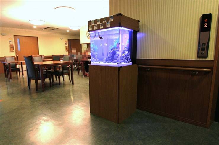 介護施設の食堂に設置された木目調台の海水魚水槽