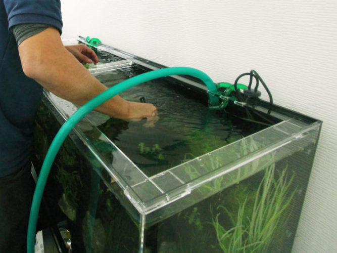 水槽メンテナンス回数はなぜ決まっている?その根拠をプロが解説のサムネイル画像