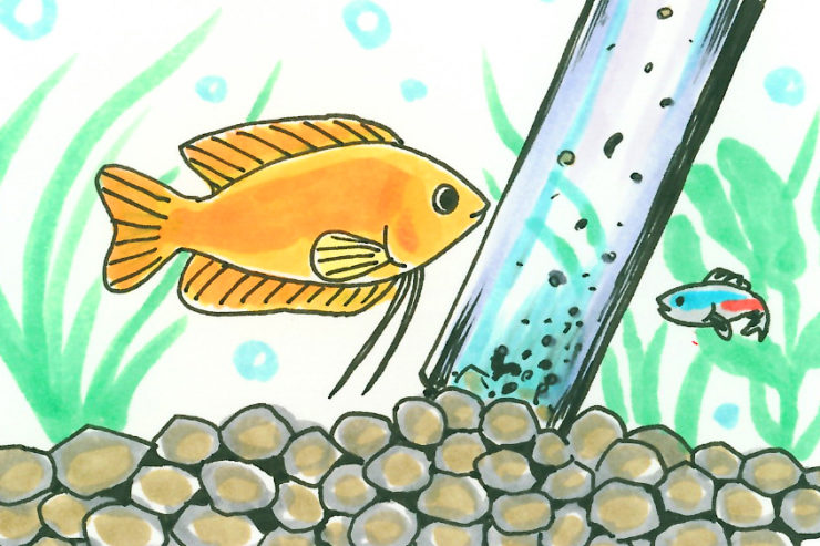 オレンジの熱帯魚とネオンテトラの仲間のイラスト
