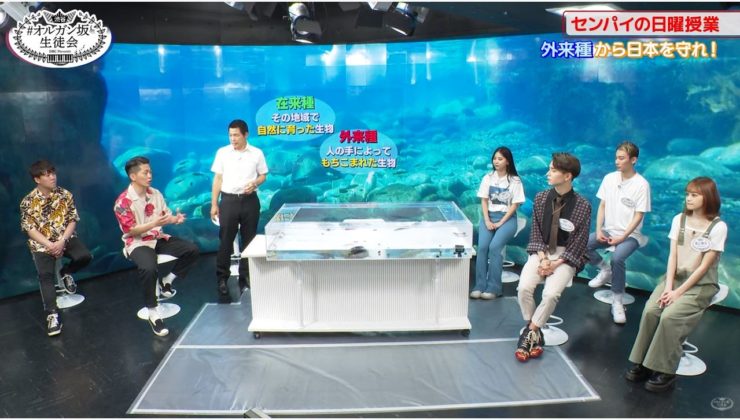 外来種から日本を守れ!の文字がある番組収録風景