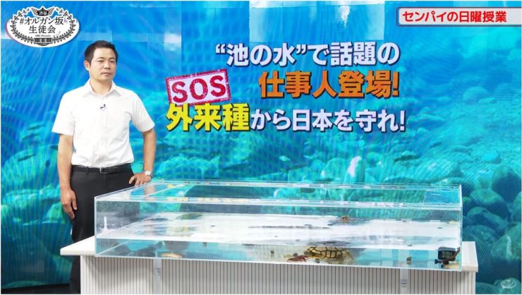 外来種から日本を守れ!池の水仕事人登場の見出し画像