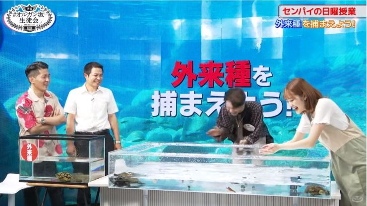 外来種を捕まえよう!の文字と水槽を囲む男女の画像