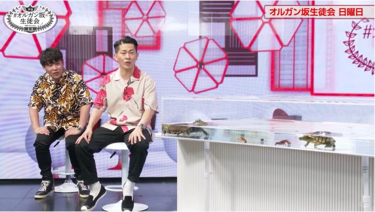 オルガン坂生徒会出演者とカメのいるスタジオセット