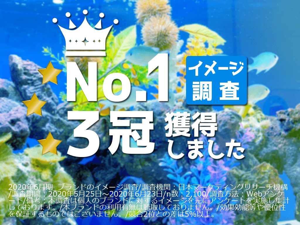 日本マーケティングリサーチ機構のイメージ調査で3つの「No.1」に選ばれましたのサムネイル画像