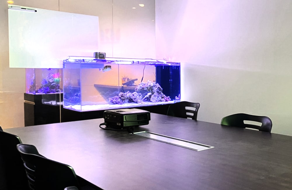 会議室のテーブル奥に設置された大型海水魚水槽