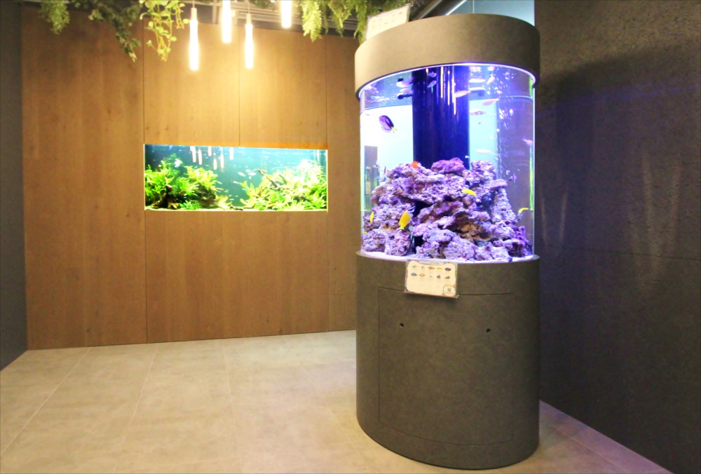 円柱型海水魚水槽と壁面埋め込み式水草水槽の並び