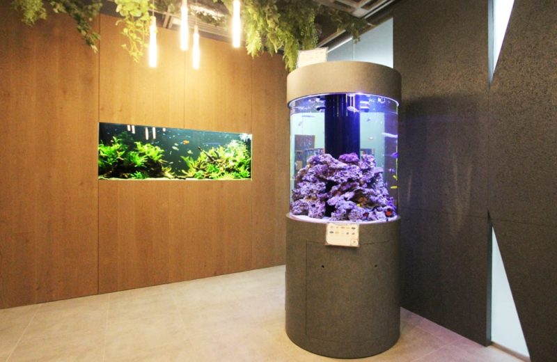 オフィス 円柱海水魚水槽・大型淡水魚水槽を設置 水槽販売事例 水槽画像1