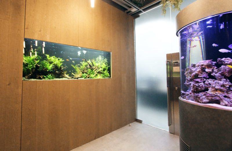 オフィス 円柱海水魚水槽・大型淡水魚水槽を設置 水槽販売事例 水槽画像5