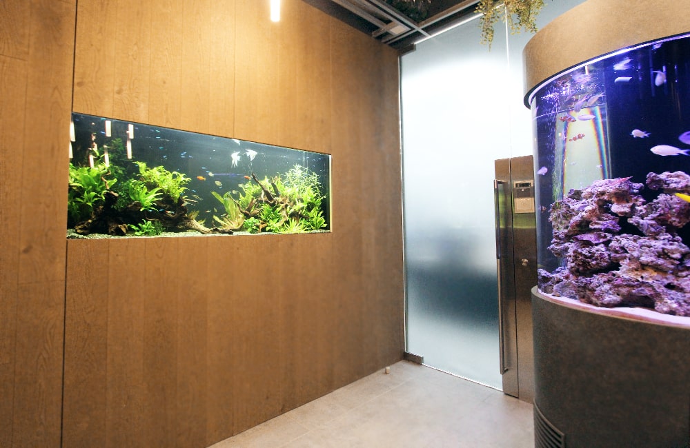 壁埋込型淡水水槽と円柱型海水水槽が並ぶ室内風景