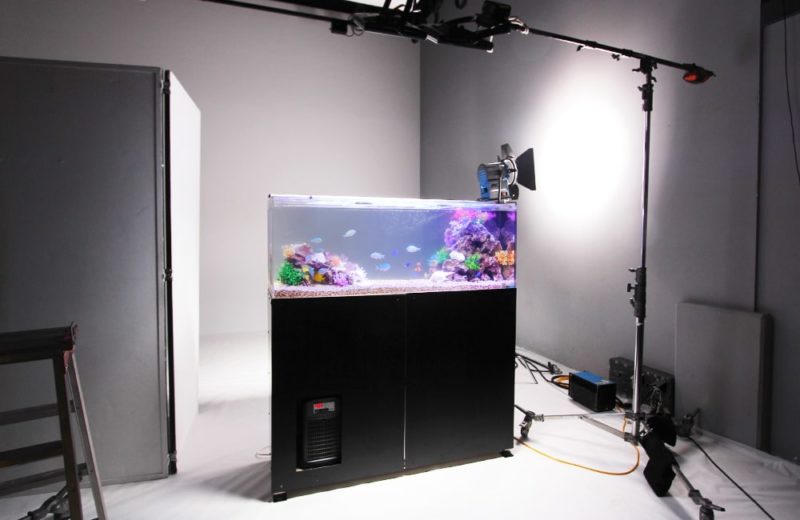 雑誌撮影　150cm海水魚水槽　短期レンタル事例 水槽画像１
