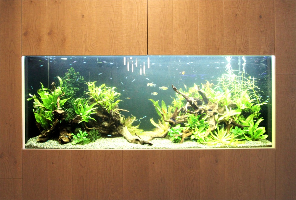 木目調の壁に埋め込まれた流木と水草の大型水槽