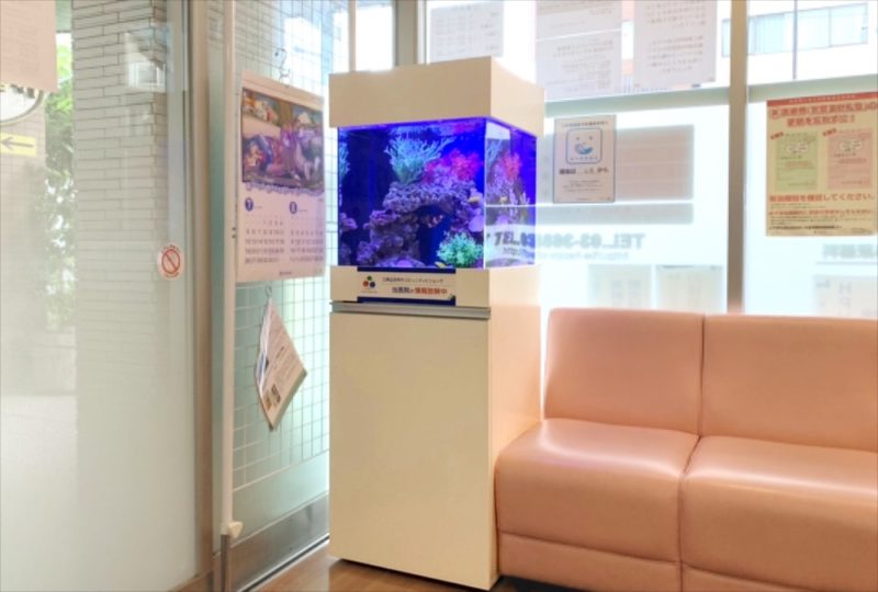 クリニックの待合室　45cm海水魚水槽 レンタル事例 水槽画像２