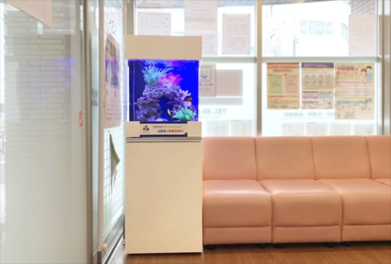 クリニックの待合室　45cm海水魚水槽 レンタル事例 水槽画像４