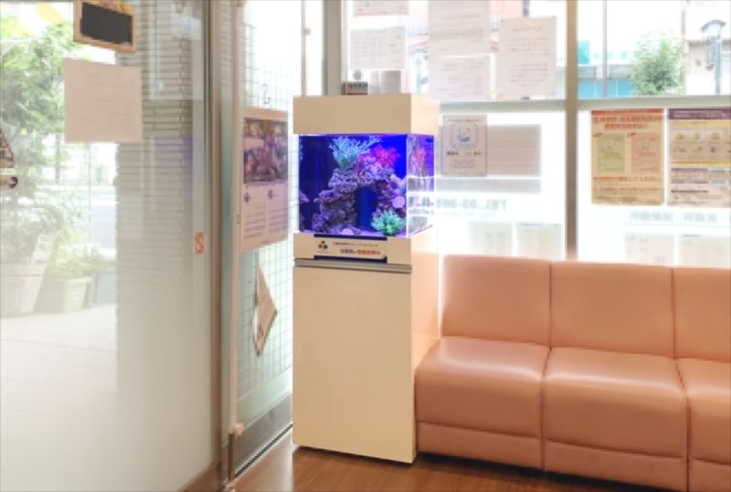 クリニックの待合室　45cm海水魚水槽 レンタル事例 水槽画像５
