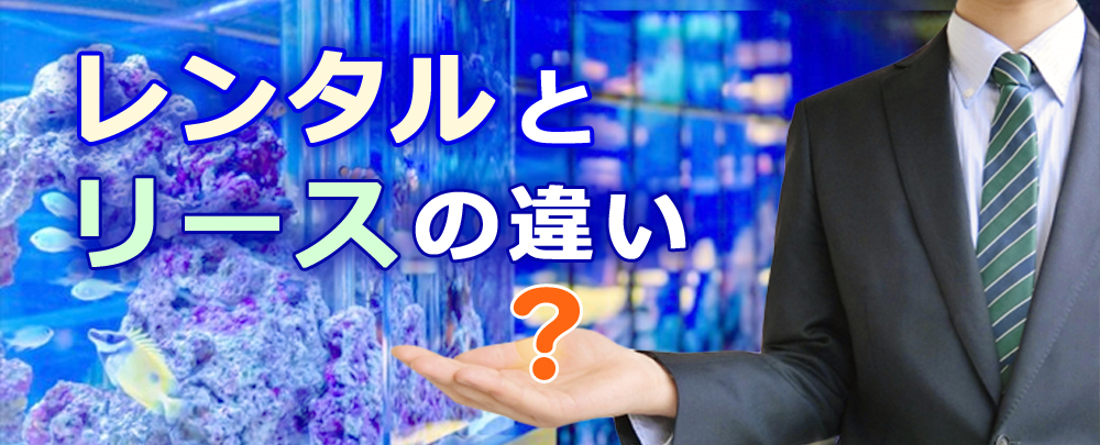 水槽レンタルと水槽リースの違い