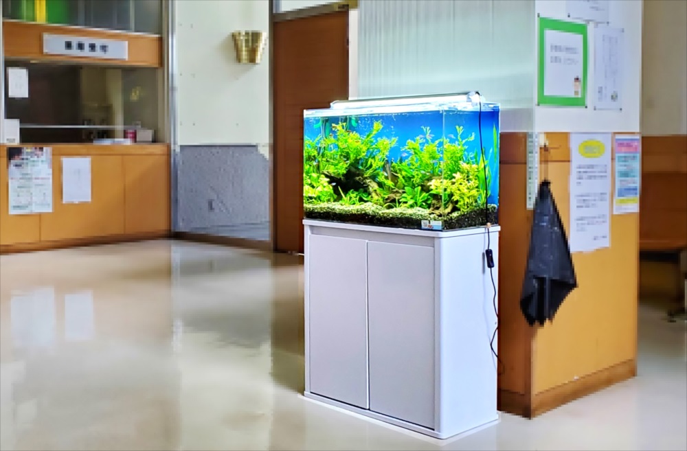 急病センター　待合室　60cm淡水魚水槽 レンタル事例