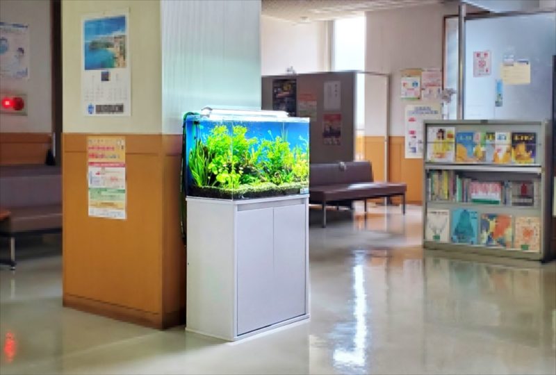 急病センター 待合室 60cm淡水魚水槽 レンタル事例 水槽画像4