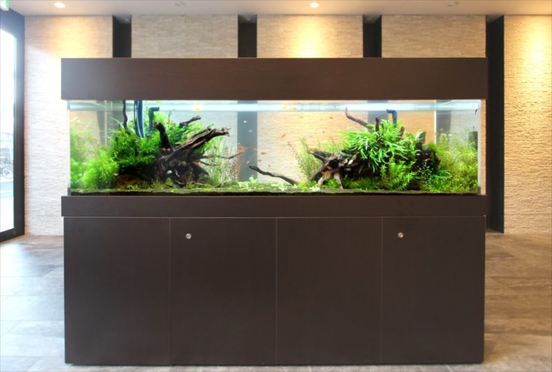 マンションのエントランス 180cm淡水魚水槽 リース事例 水槽画像2