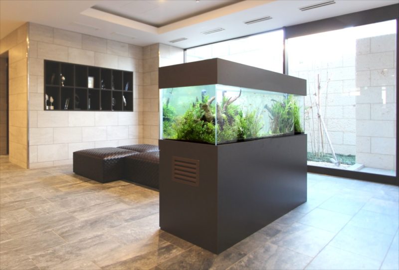 マンションのエントランス 180cm淡水魚水槽 リース事例 水槽画像3