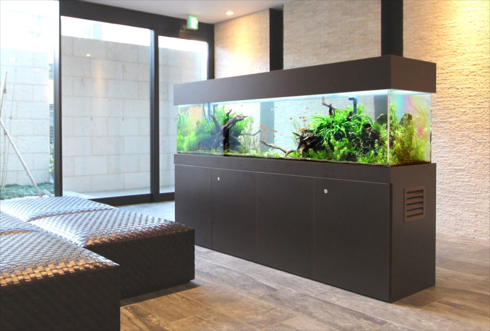 マンションのエントランス 180cm淡水魚水槽 リース事例