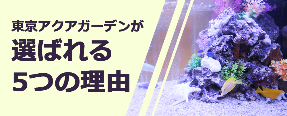 東京アクアガーデンが選ばれる5つの理由