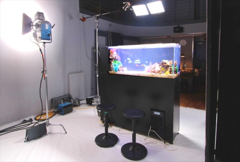 雑誌撮影　150cm海水魚水槽　短期レンタル事例 水槽画像２