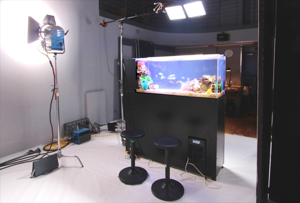 照明機材に囲まれたスタジオ内の大型海水魚水槽