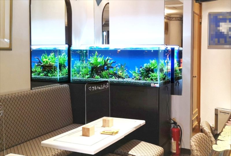飲食店 120cm淡水魚水槽 レンタル事例 吉祥寺 水槽画像1