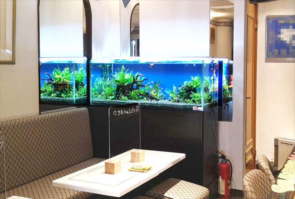 飲食店　120cm淡水魚水槽 レンタル事例　吉祥寺のサムネイル画像