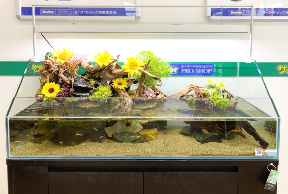 ひまわりの造花と流木で飾られたアクアテラリウム水槽