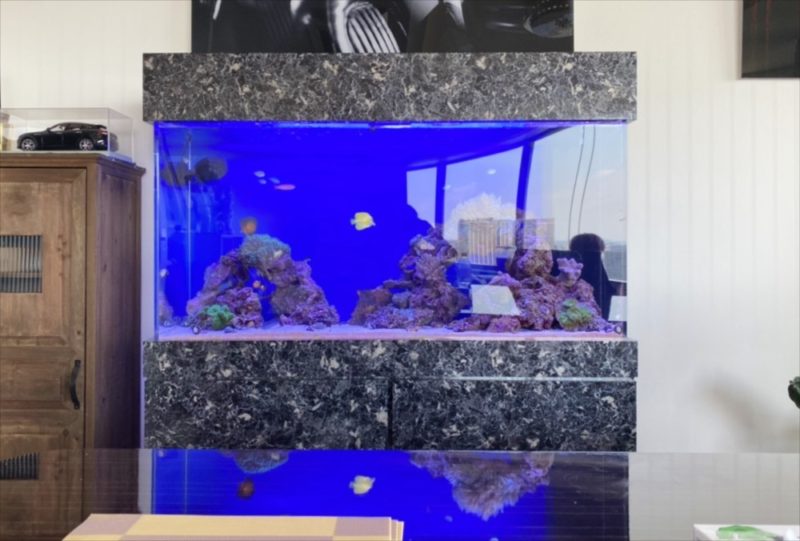 幻想的なサンゴ水槽 港区オフィス事務所に設置 水槽レンタル事例 水槽画像3